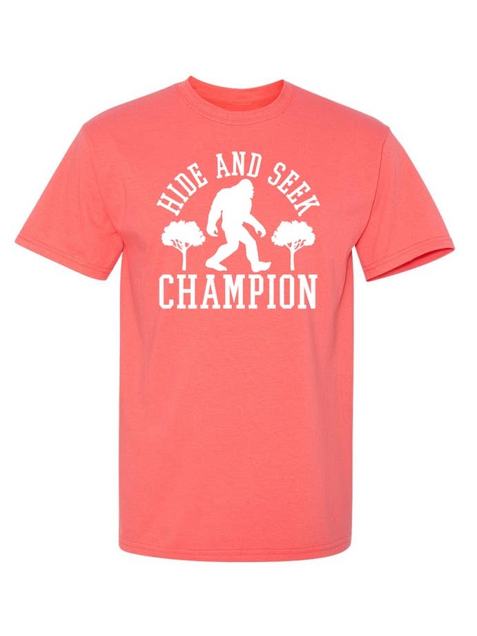 Feelin Good Tees - Wholesale Screen Printed T-Shirt - Unisex - Bigfoot - Hide And Seek Champion10