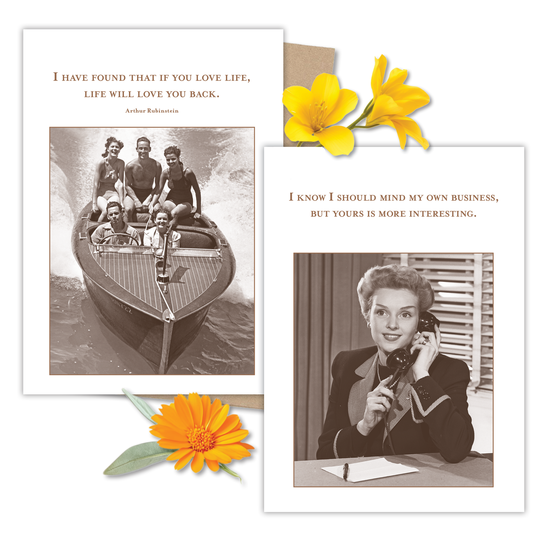 Shannon Martin Design - Wholesale Retailer Display - Paper & Novelty - 72 Pocket Display Filled With Half-Dozens2