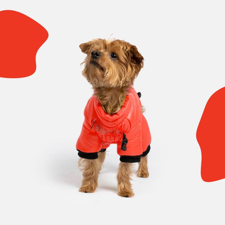Whistler Full Body Dog Snowsuit - Red for wholesale by Silver Paw