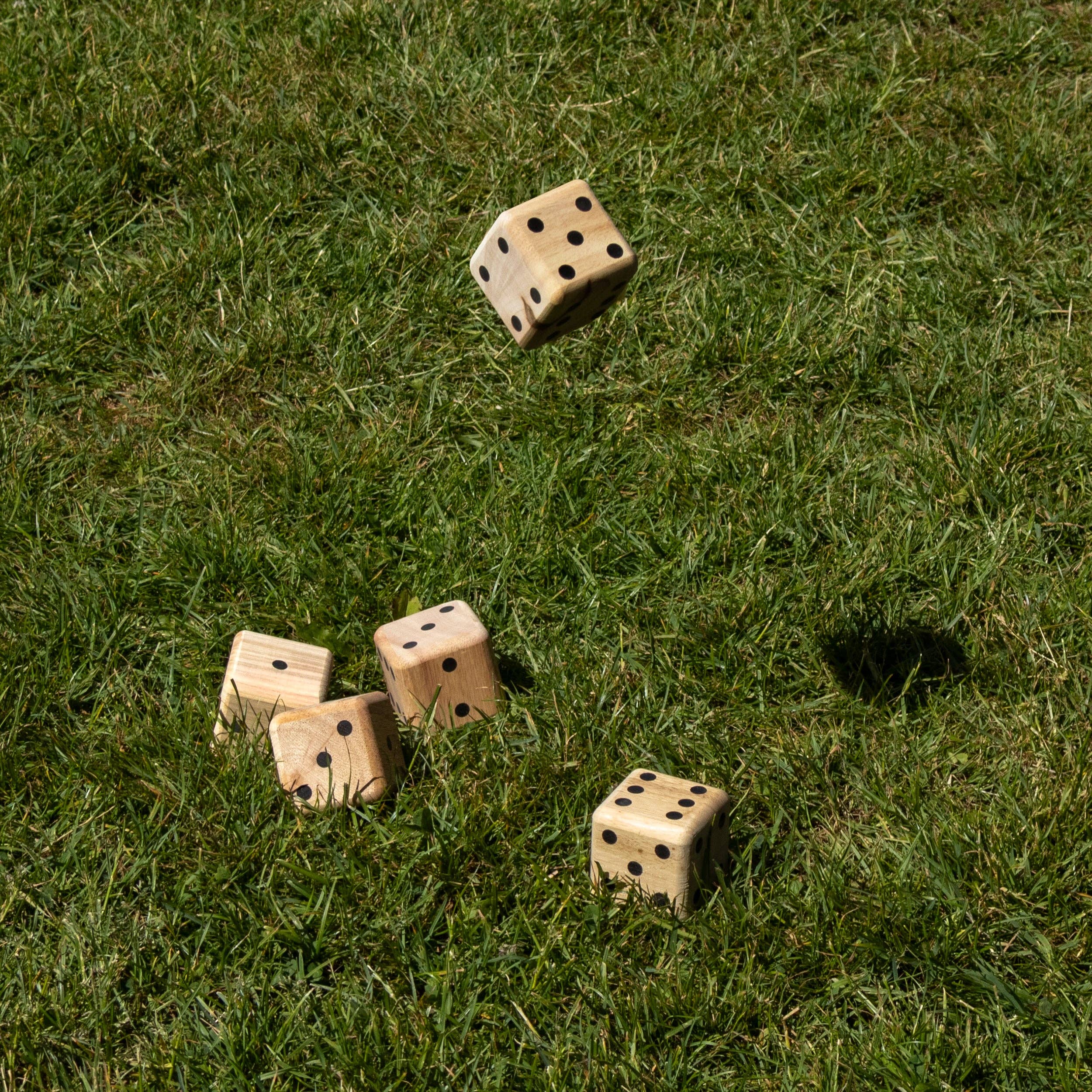 Robert Frederick Ltd - Wholesale Dice - Carnival Games Giant Dice Yatzy3