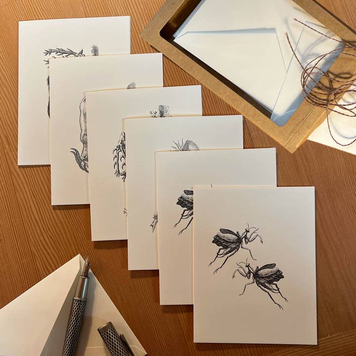 VMazzoni - Wholesale Stationery/Notecard Set - Whimsical Note Cards Set of Six