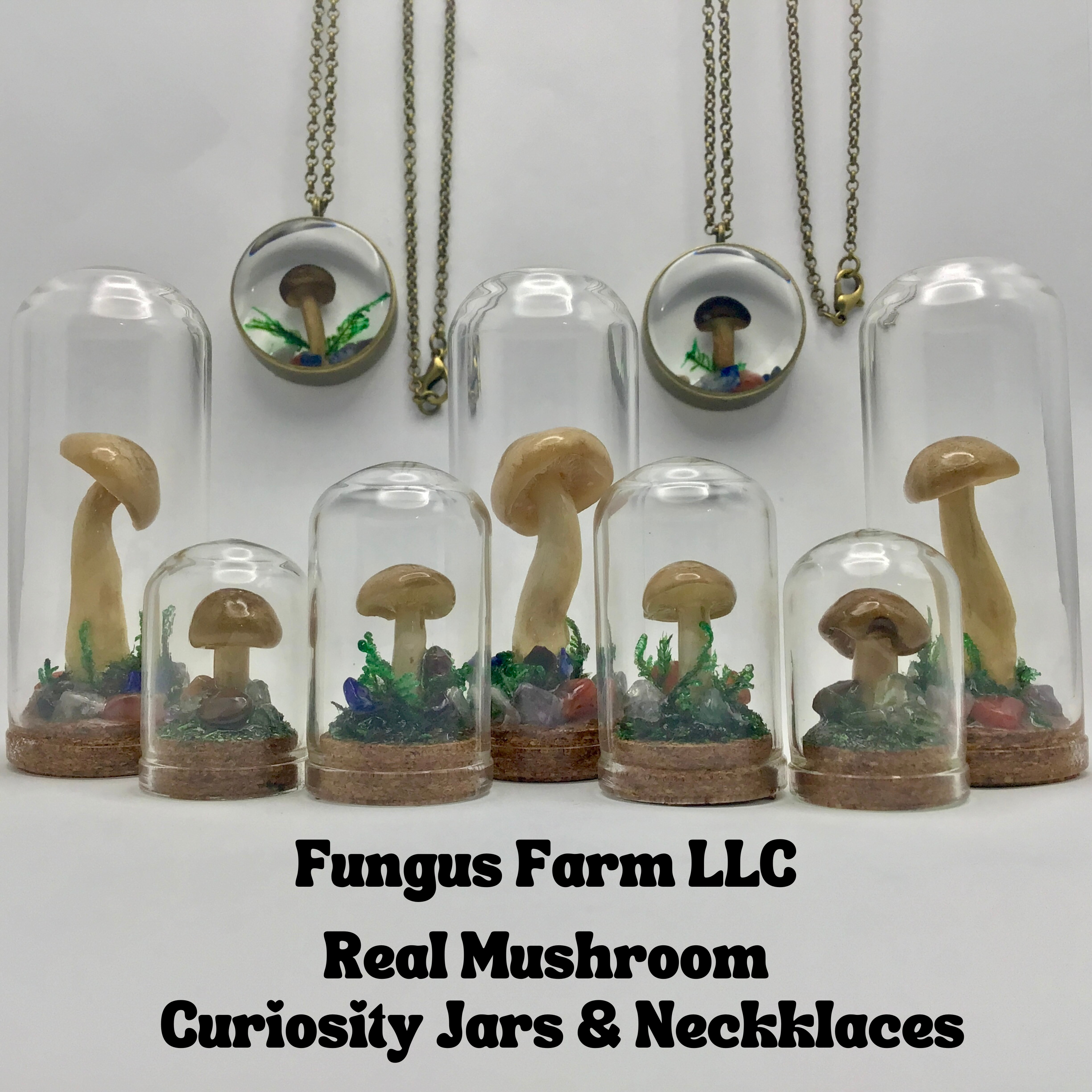 Fungus Farm LLC - Wholesale Pendant/Charm Necklace - Real Mushroom Curiosity Necklace Pendant 1.25" # 6852