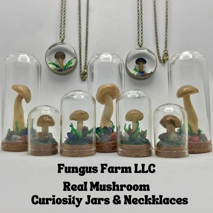 Fungus Farm LLC - Wholesale Pendant/Charm Necklace - Real Mushroom Curiosity Necklace Pendant 1.25" # 6852