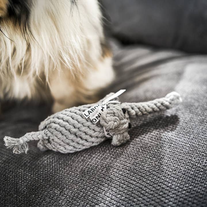 LABONI - Volentis GmbH - Wholesale Pet Chew Toy - Dog - ELTON ELEFANT JR. – The Classic with Big Play Value3