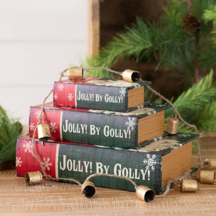 Audrey's Home & Gift - Wholesale Christmas Decoration - Santa Nested Book Boxes (Set Of 03)