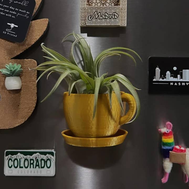 Coffee Cup Air Plant Magnet | More Colors Available for wholesale by Peachy Pilea
