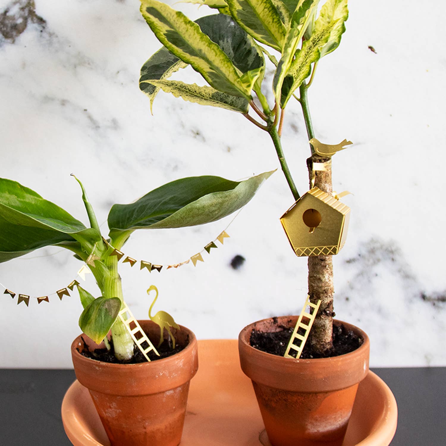 Botanopia - gifts , decor and cards for plant lovers – Engroshandel Fuglehus – Lille fuglehus til dine planter5