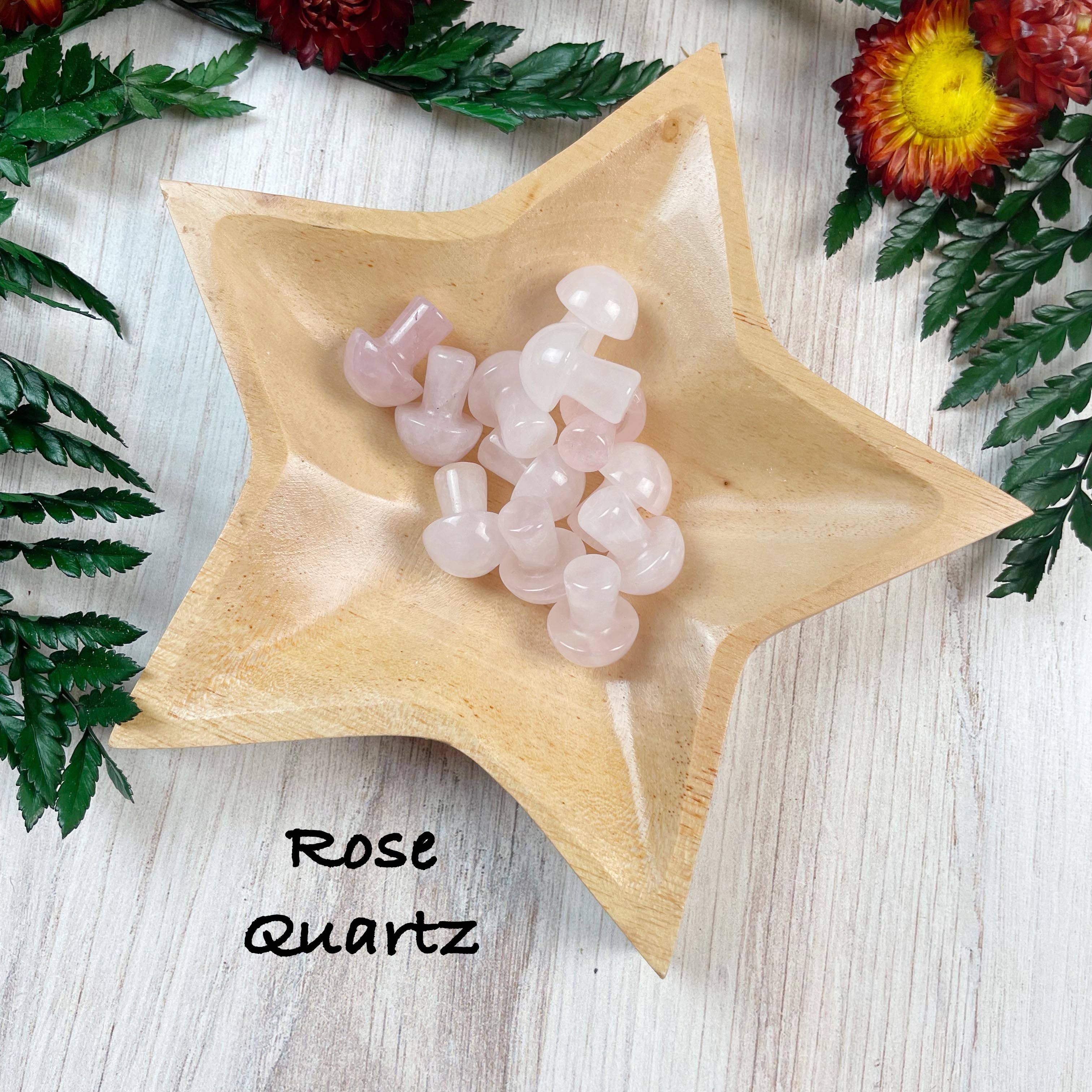 Ewelina Pas Jewelry - Wholesale Spiritual Stone/Crystal - MINI Gemstone Mushroom Pocket Stone14