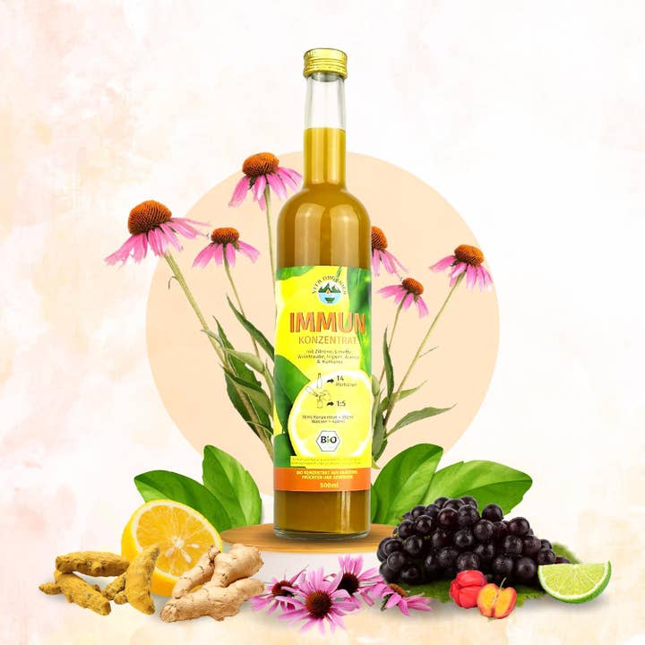JAMU GmbH – Großhandel Wellness-Saft/Tonikum – Bio Ingwer Kurkuma Konzentrat 500 ml