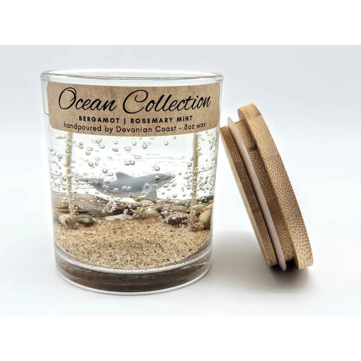 Dolphin Beach Gel Candle – Large 8oz Wax for wholesale by Devonian Coast