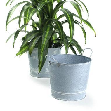 Buhi Imports - Wholesale Plant Pot - 8.5" Pail  White Patina Pot Cover 1
