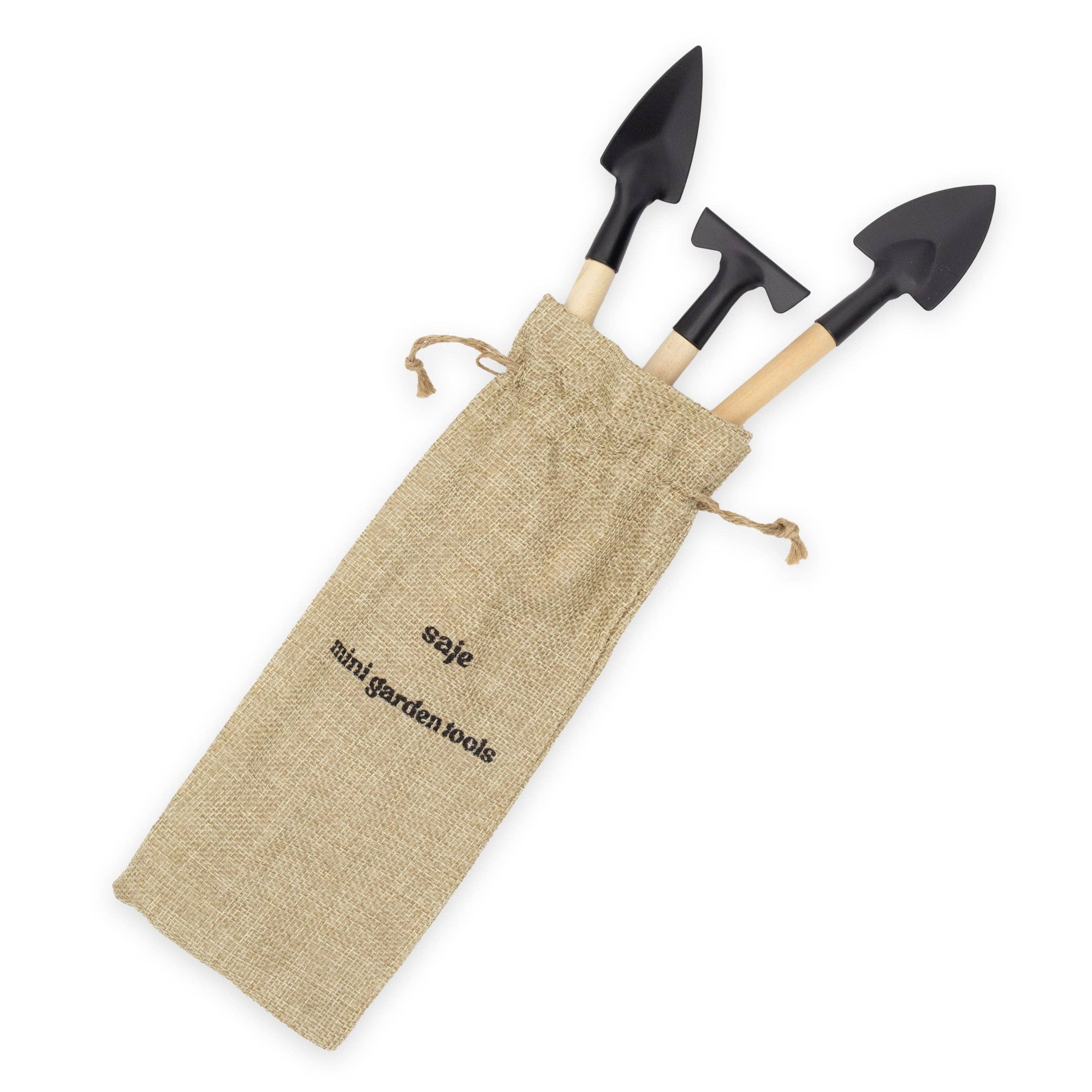 Robert Frederick Ltd – wholesale Trädgårdsverktyg – Saje Växtvårdskit - Bladdammsvantar och Miniverktyg - Håll Inomhusväxter Friska2