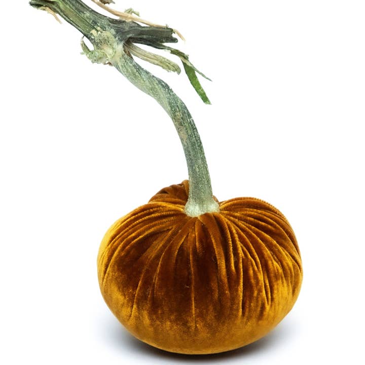 Bronze Silk Velvet Pumpkin for wholesale by Hot Skwash