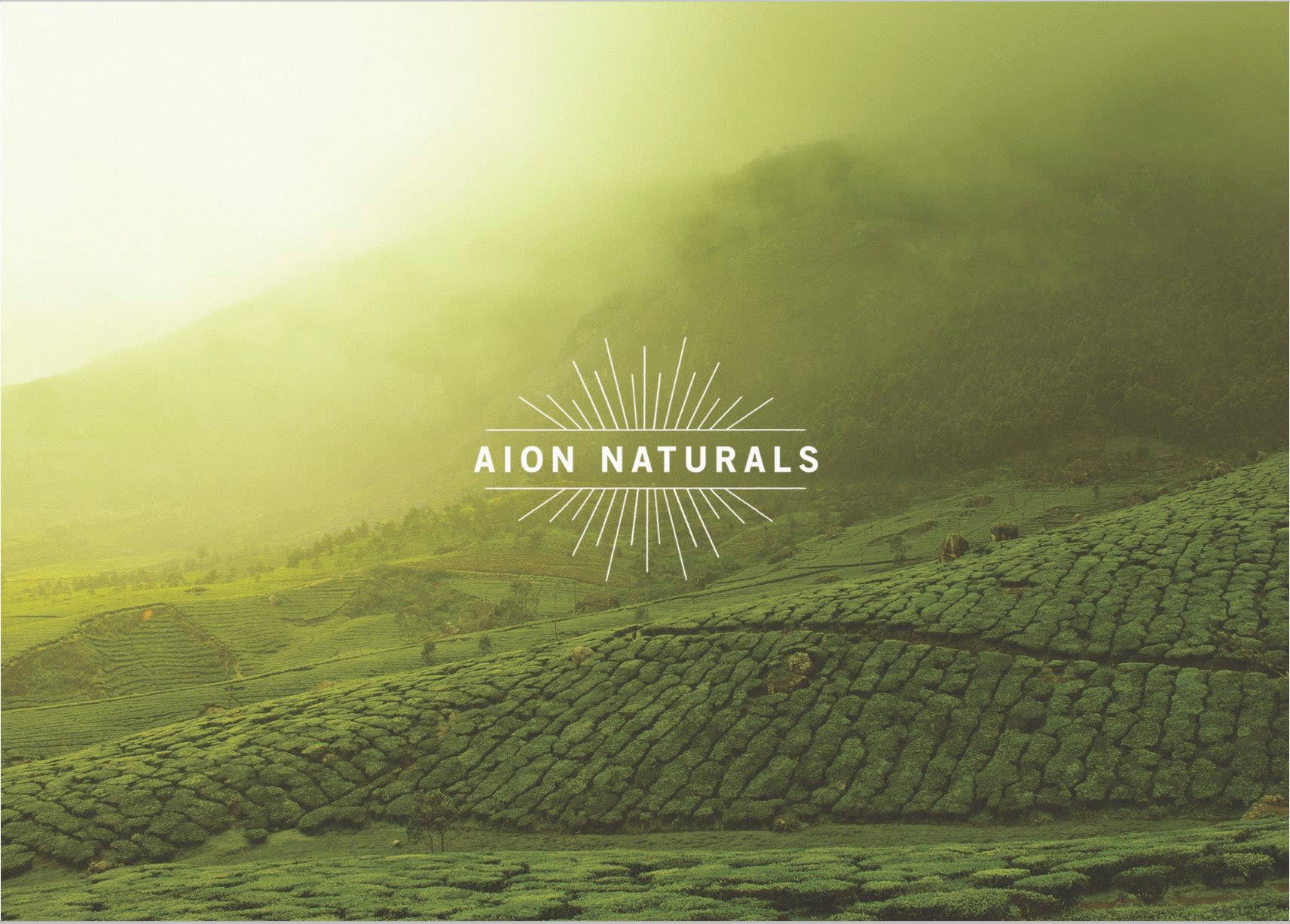 Aion Naturals - Wholesale Health/detox tea - Aion Naturals Grade A Ceremonial Matcha BULK3