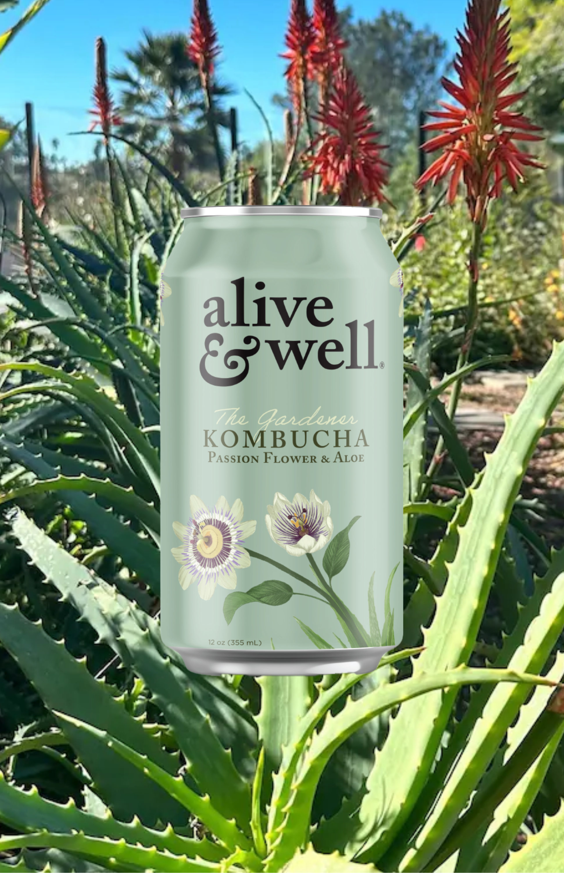 Alive & Well Kombucha - Wholesale Kombucha - Passion Flower & Aloe Kombucha Organic1