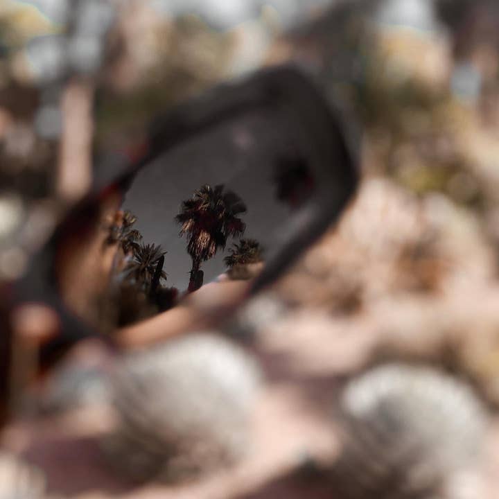 SOL KYST - Wholesale Sunglasses - Women's - Monarch5