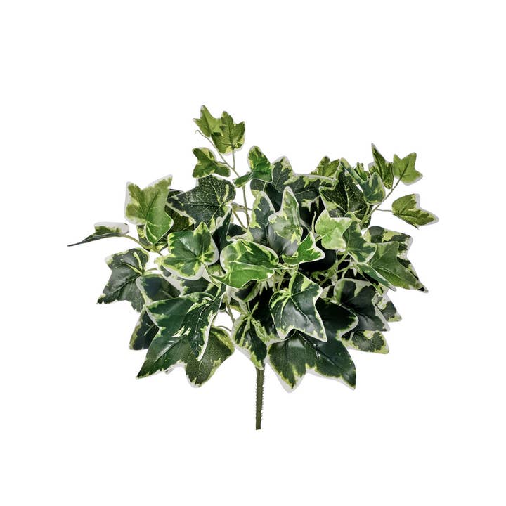 CMC Wholesale – wholesale Konstgjord växt – UV-skyddad murgröna 14" buske - Grön/Vit