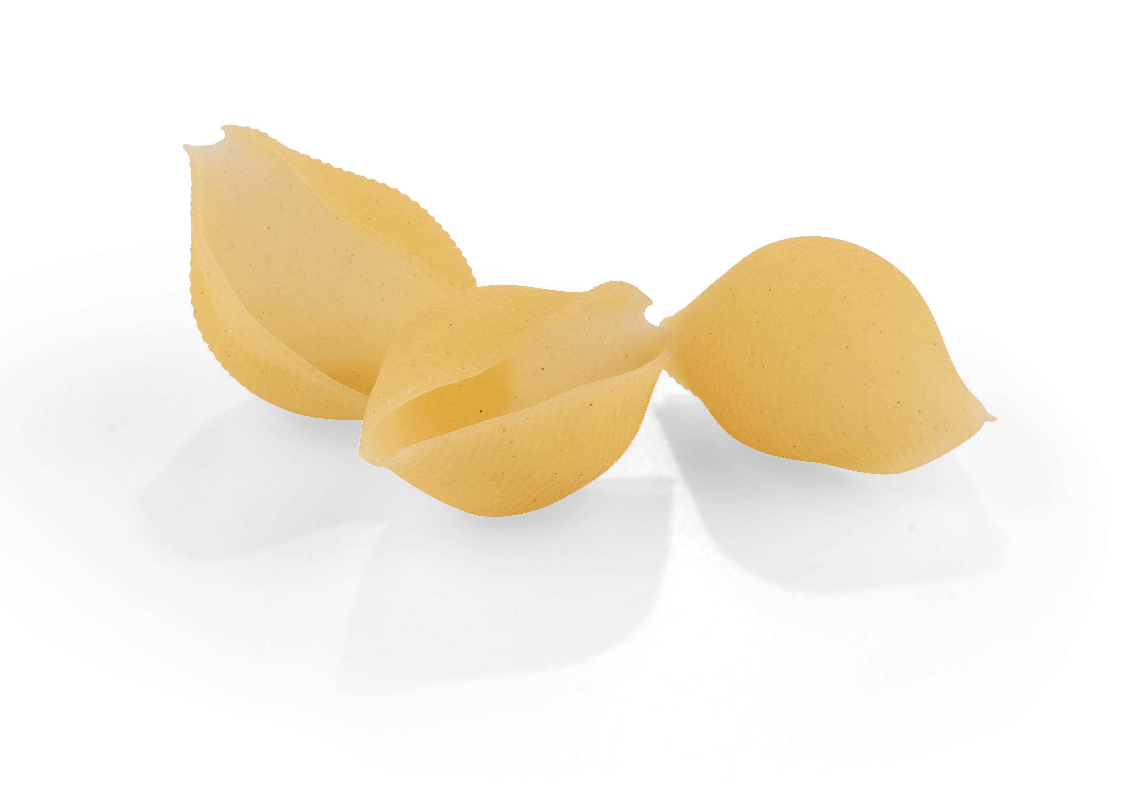 Zia Pia - Wholesale Pasta - Gluten Free Conchiglioni1