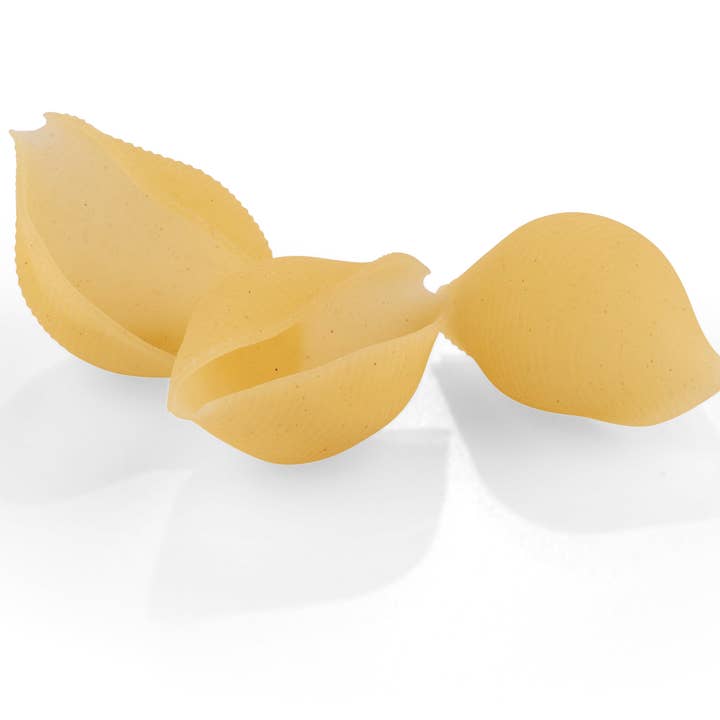 Zia Pia - Wholesale Pasta - Gluten Free Conchiglioni1