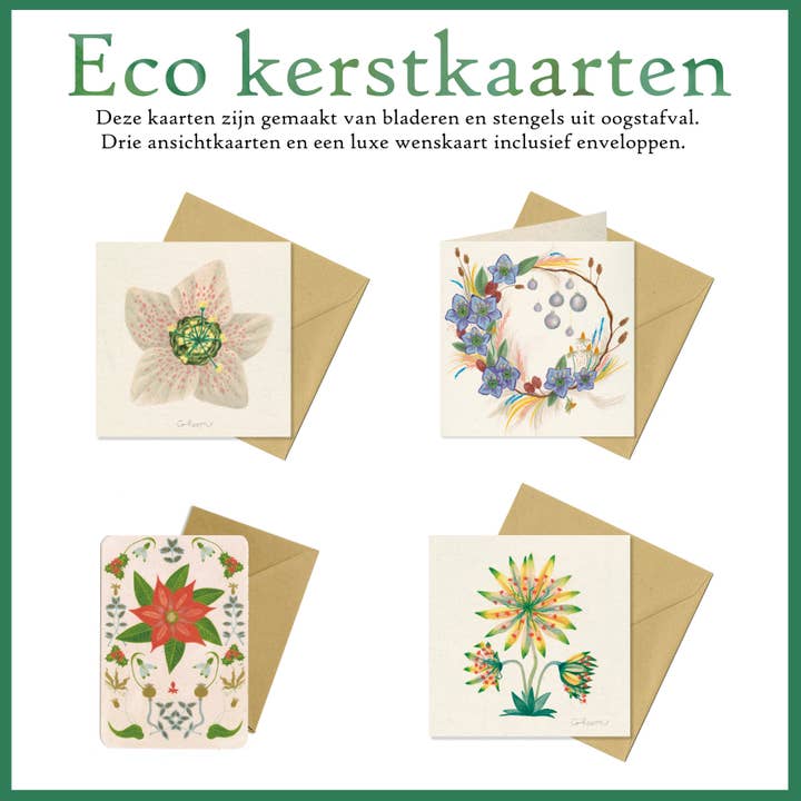 Miljøvenlig julekortpakke - Blomster for engroshandel hos Coheem
