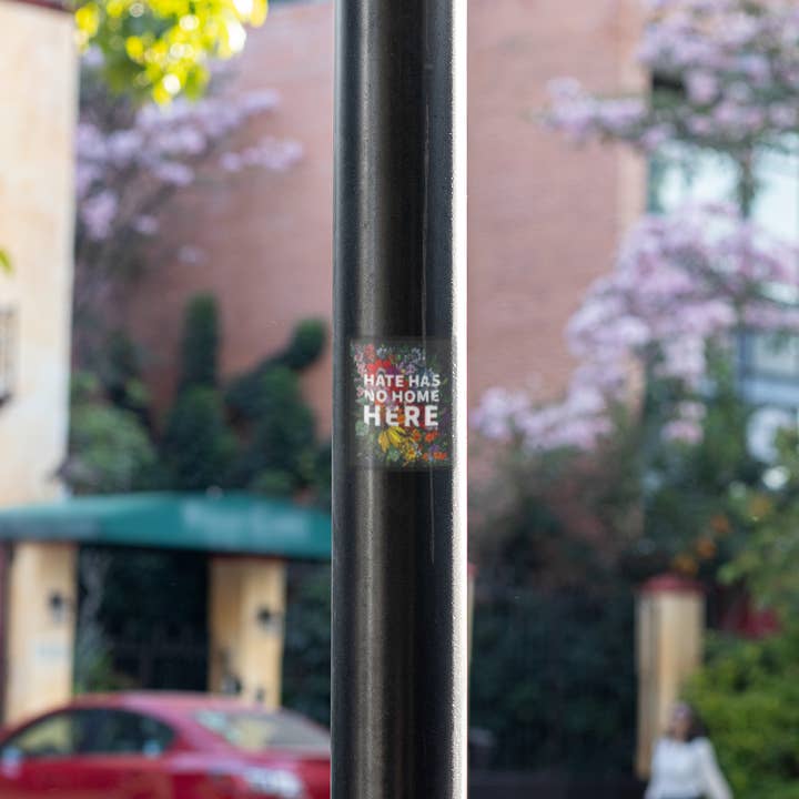 Transpainter - Wholesale Sticker - Hate Has No Home Here Bumper Sticker | No Hate Decal 7
