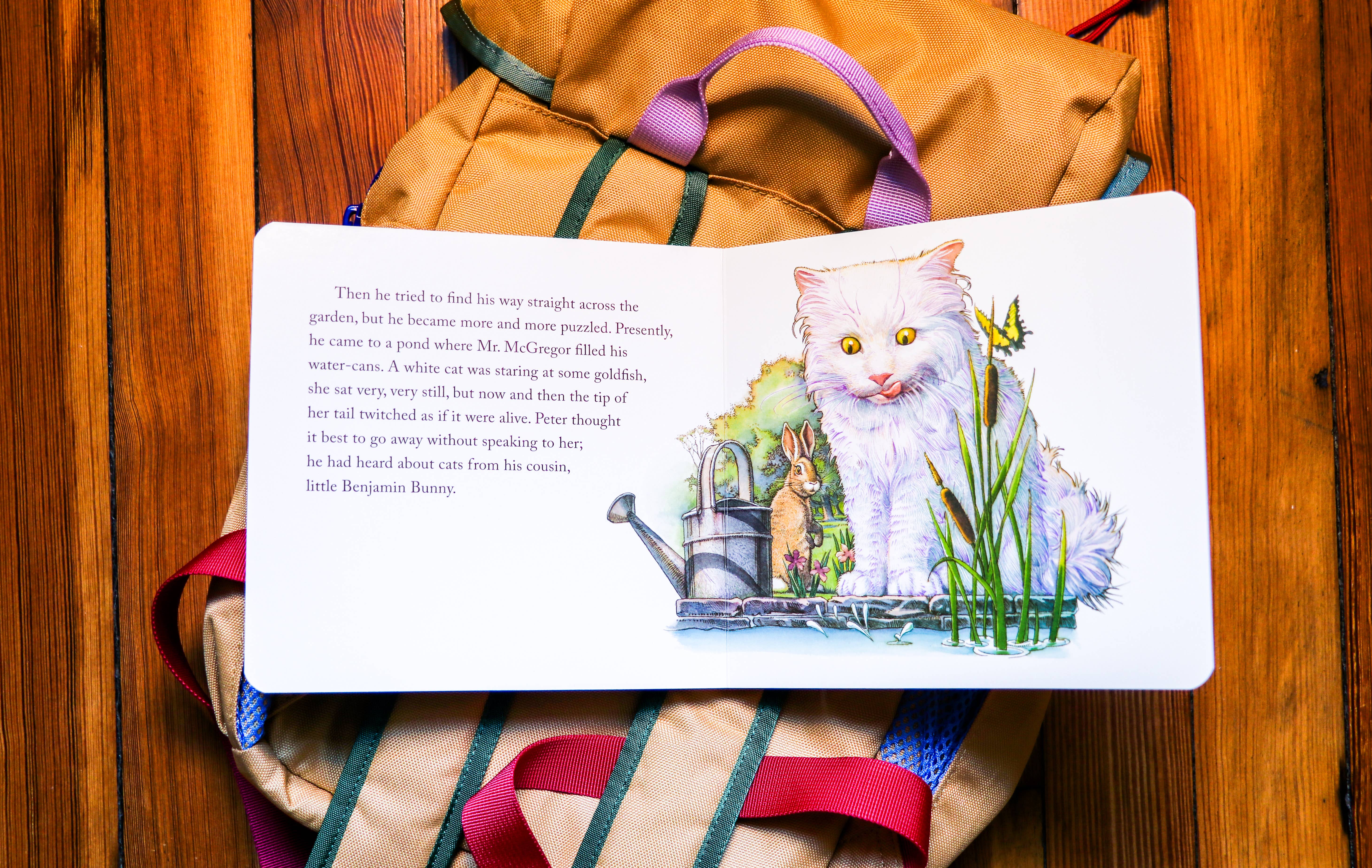 HarperCollins Focus - Wholesale Baby & Toddler Book (0-2) - The Classic Tale of Peter Rabbit Board Book: Revised Ed7