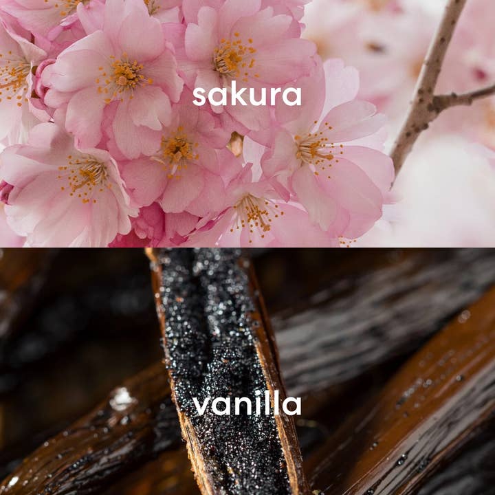 Literie - Wholesale Jar/Filled Candle - Cherry Blossoms at the Capitol3