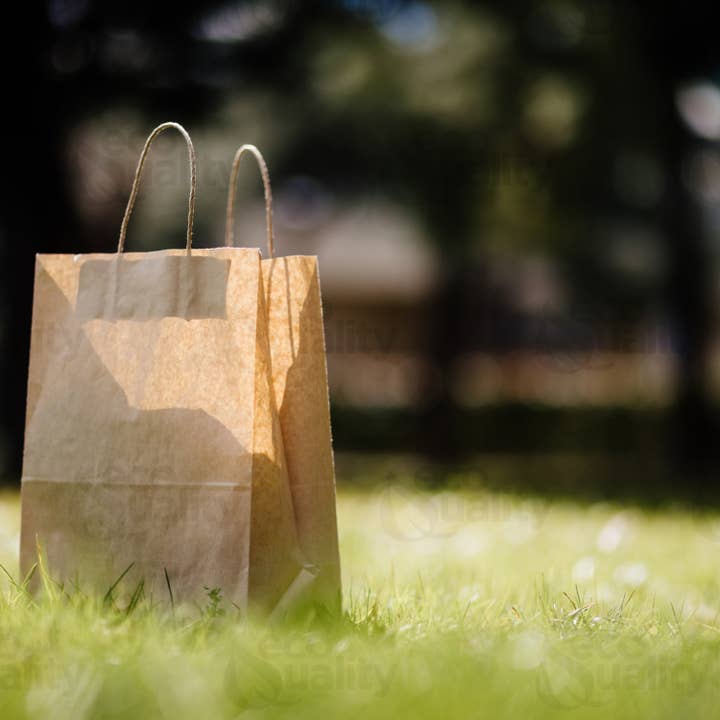 EcoQuality - Wholesale Gift Bag - 10x5x13 Medium Kraft Paper Gift Bags w/Twine Handles Brown
