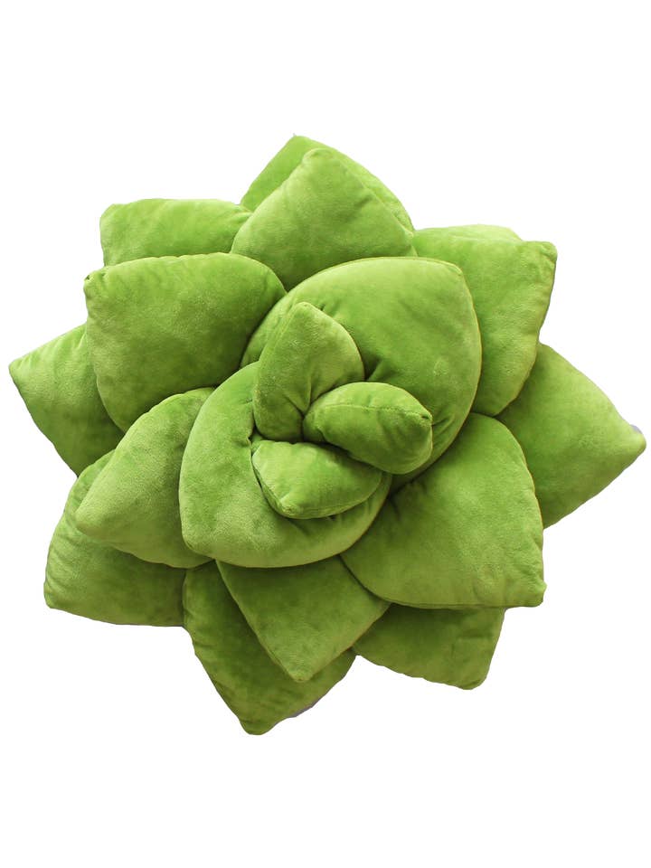 Big Pop - Succulent Plush Pillow - Olive Green for wholesale by Green Philosophy Co.