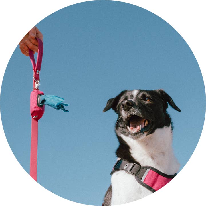 Wildebeest - Wholesale Pet Poop Bag Dispenser - Funston Dog Poop Bag Holder11