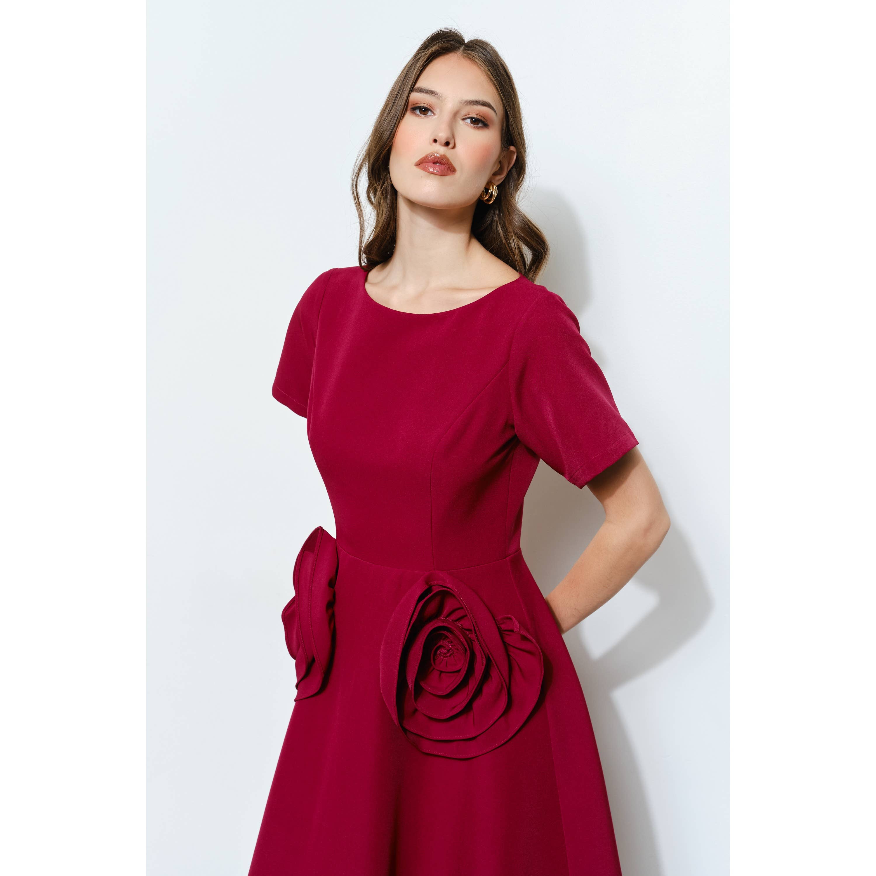 INA - Wholesale Dress - Women's - Elegant Rose Applique A-Line Midi Dress11