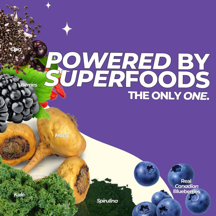 JUSTproats - Venta al por mayor Proteínas y superalimentos en polvo - Muffins de arándanos4