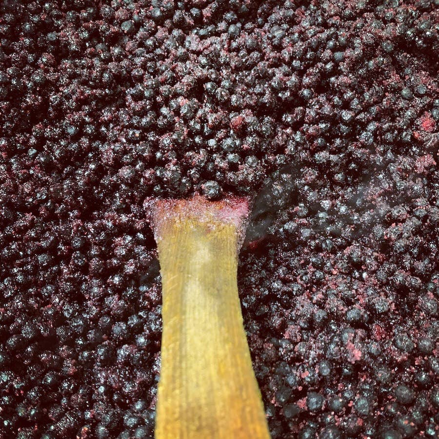 THE FRENCHMAN – wholesale Jam/jelly – Blueberry Jam | 30g2