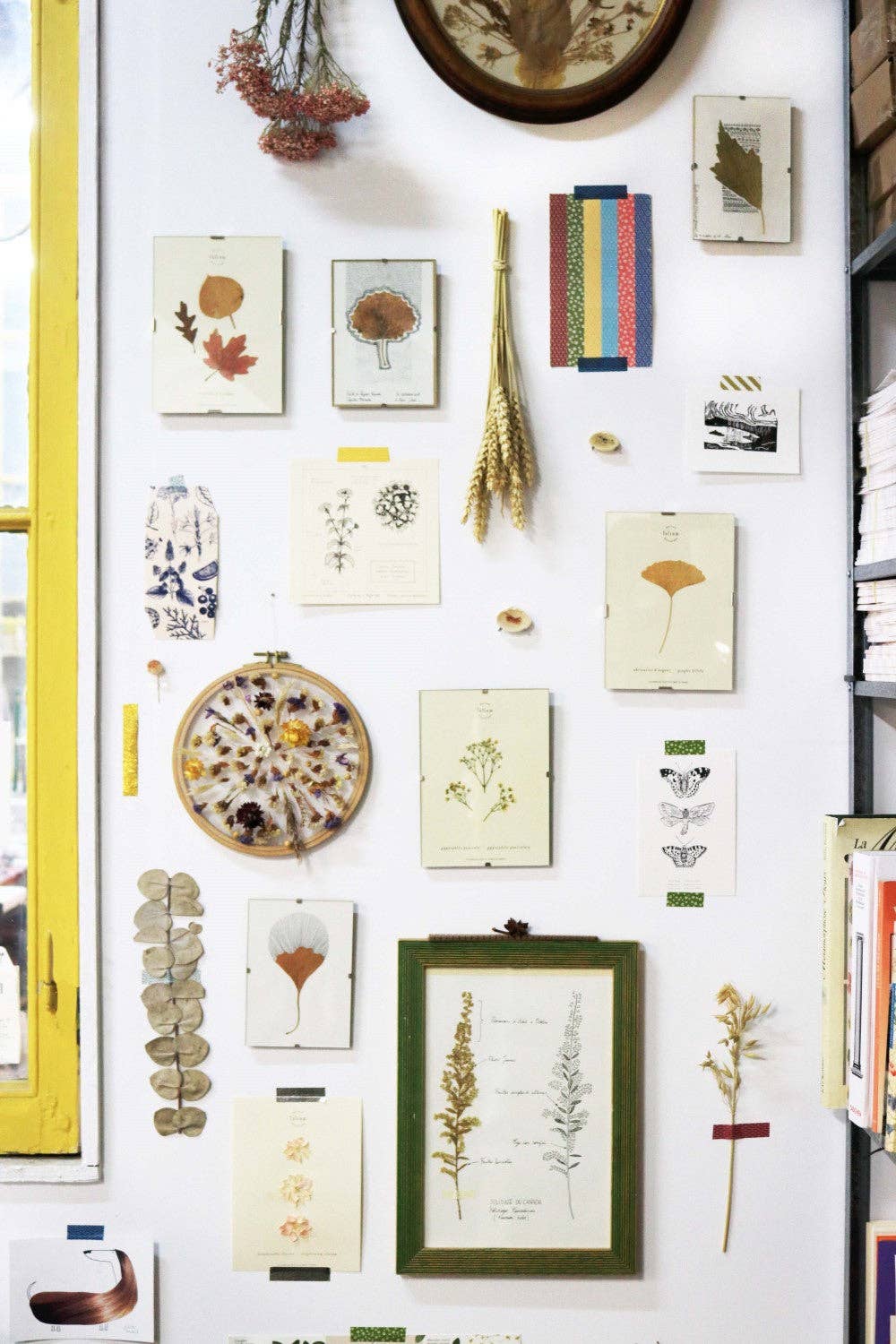 Folium - Maison Botanique - Wholesale Dried/Pressed Flowers - No. 17 · The Gypsophila2