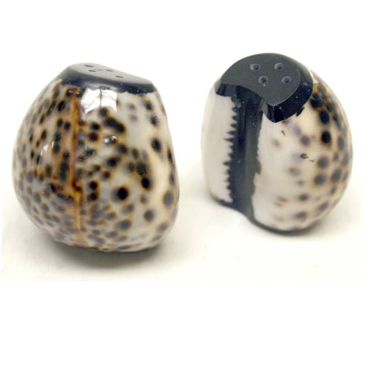 Housewares & Tabletops by Contrast Inc. - Wholesale Salt & Pepper Shaker Set - Cowrie Shell Salt and Pepper Shaker Set of 2