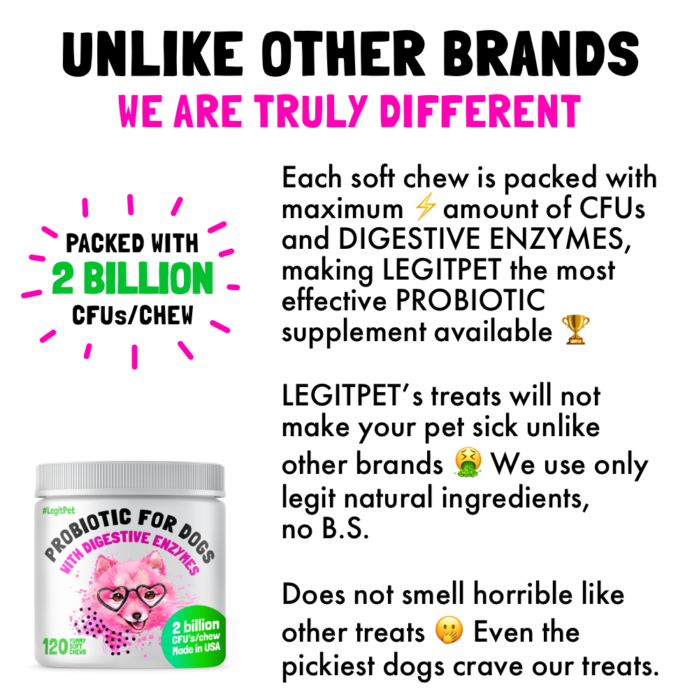 LEGITPET - Wholesale Pet Supplement - Dog - Probiotic for Dogs - with Natural Digestive Enzymes2