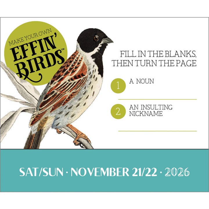 BrownTrout Publishers - Wholesale Calendar - Effin' Birds 2026 Day-to-Day Desk Calendar2