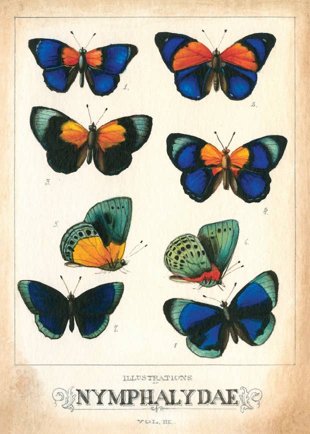 Bomo Art Budapest - Wholesale Everyday Greeting Card - Greeting Card + Envelope61