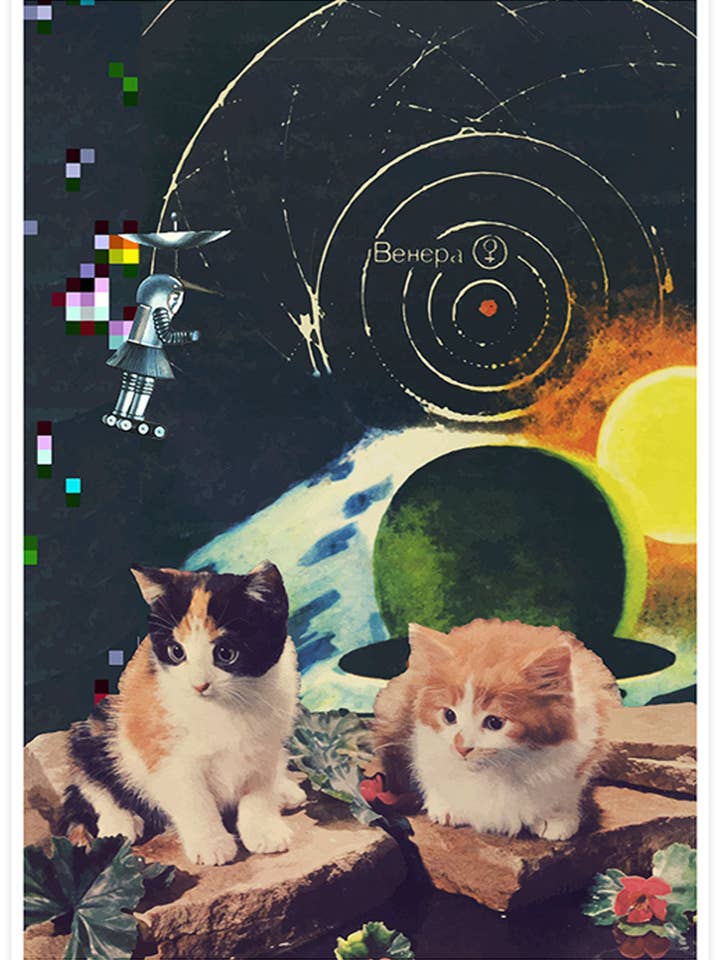 Estampa Vega Starcats Retro Cats por atacado de The Underdog Print Shop