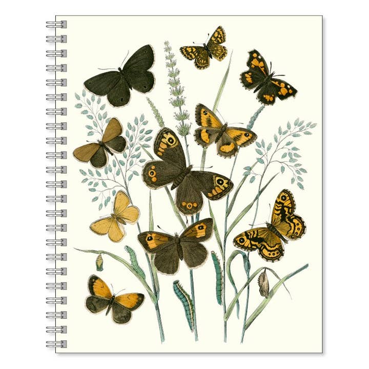 Writebook Butterflies Brown for wholesale by Gullers Trading AB