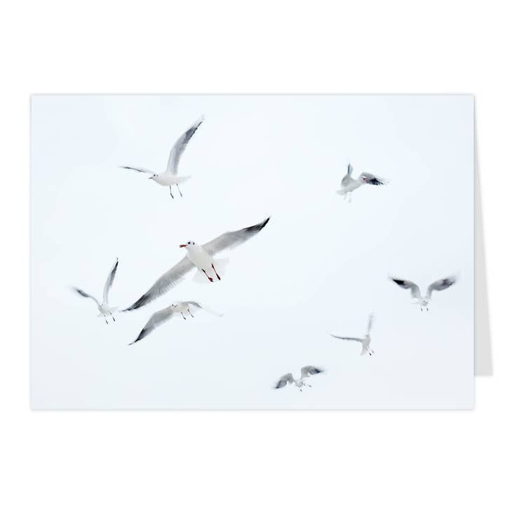Tarjeta plegable "Vuelo de gaviotas II" para venta al por mayor de paruspaper. nutzfeine papeterie
