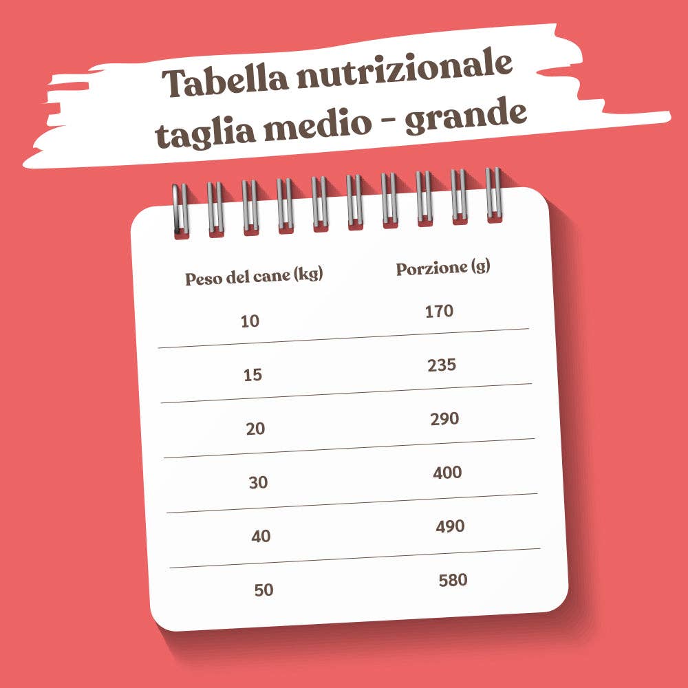 Pettech S.r.l. - Wholesale Pet Food - Dog - Kibble with Fresh Beef, Potatoes, and Peas for Adults3