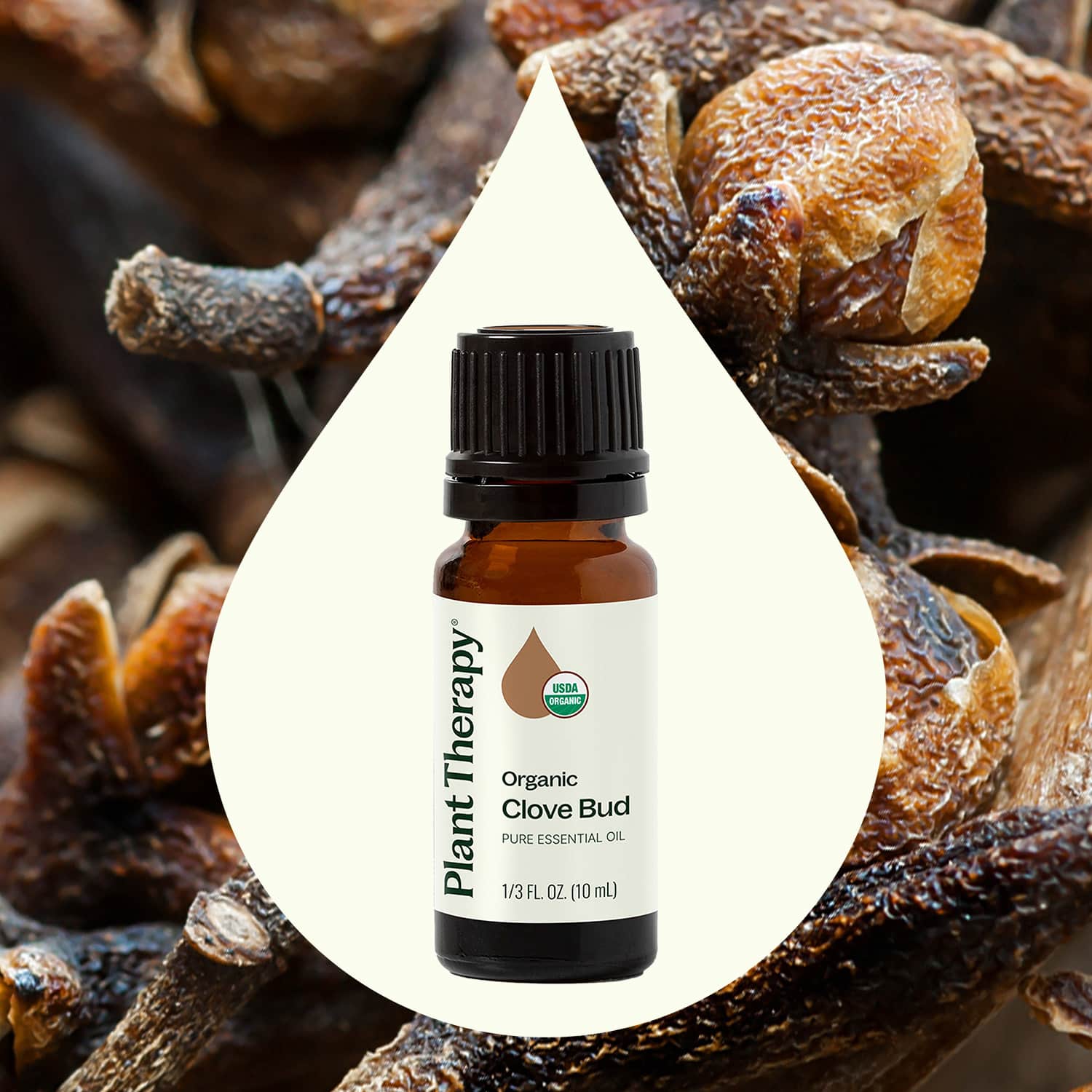 Plant Therapy - Wholesale Essential Oil - Organic Clove Bud Essential Oil 10 mL5