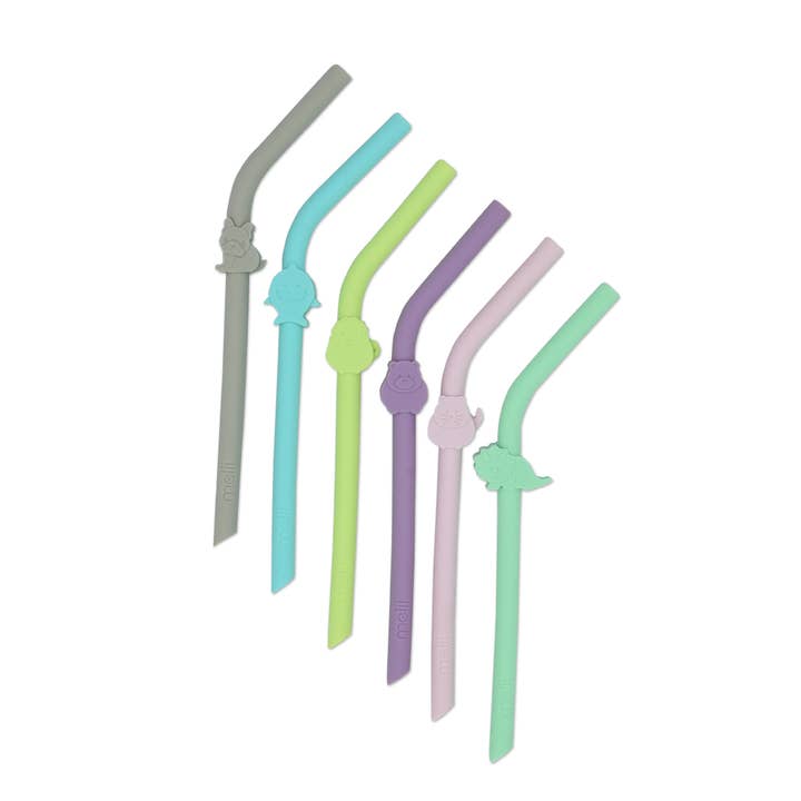 Siliconen rietjes met reinigingsborstel voor wholesale door melii