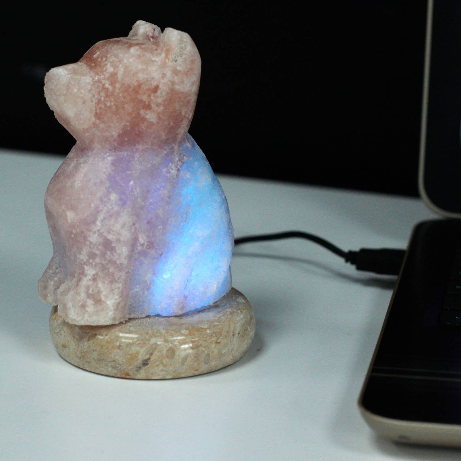 Ancient Wisdom - Wholesale Salt Lamp - USB Dog Shaped (Multi)1