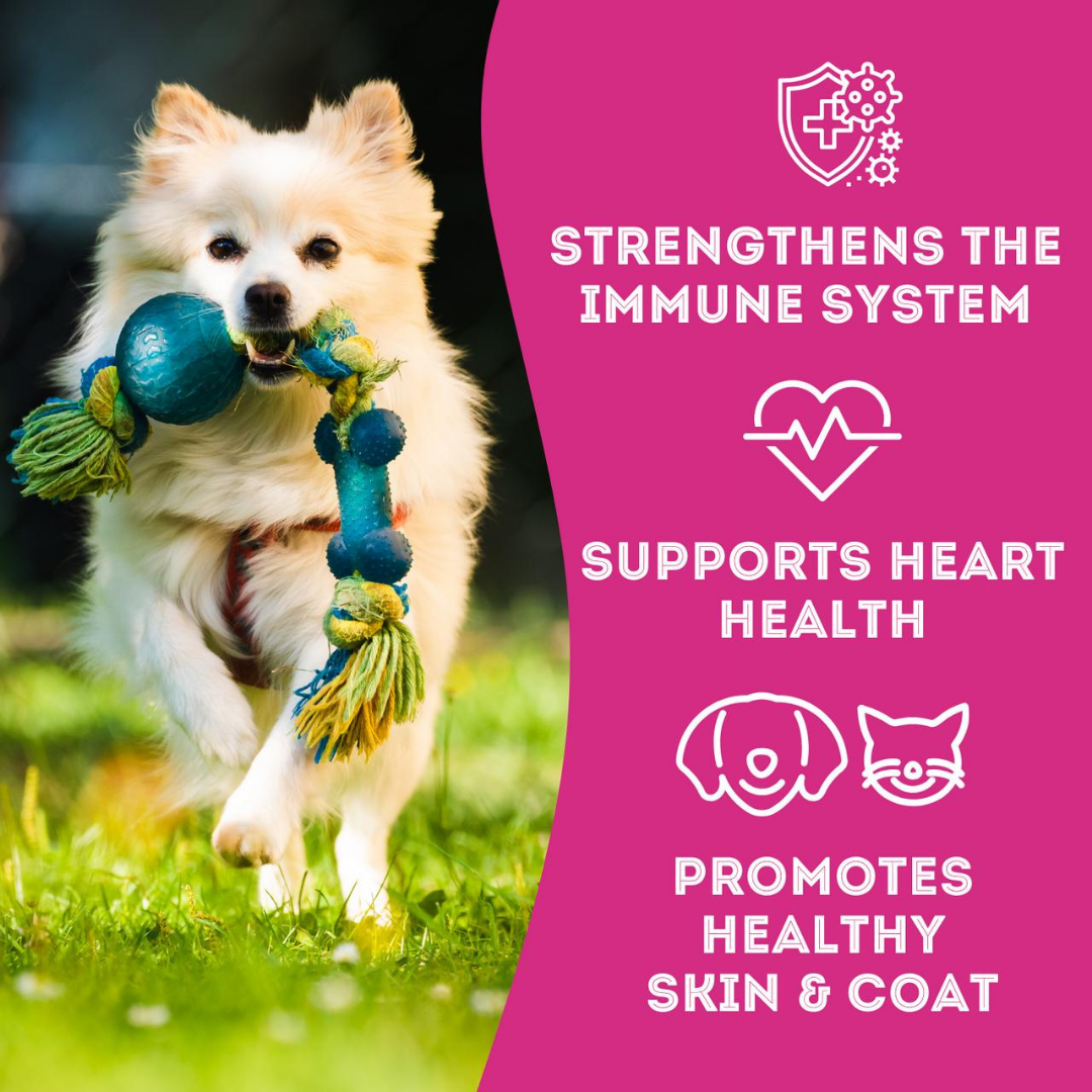 The Granville Island Pet Treatery (Canada) - Vente Friandises – chien - Friandises lyophilisées au saumon sauvage pour animaux de compagnie : riches en protéines et naturelles5