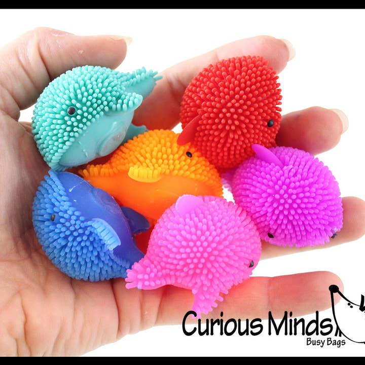 1 mini puffer Dolphins - Petit jouet original - Cadeaux de fête - pour la vente par Curious Minds Toys
