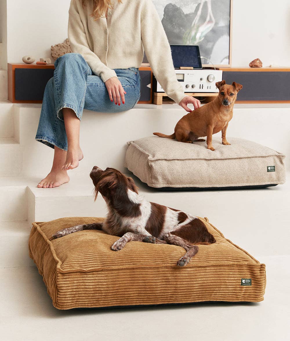 CAFIDE - Wholesale Bed voor huisdieren - Hond - Hondenbed van ribfluweel met afneembare hoes, Cuadra3