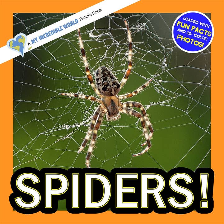 Spiders! A My Incredible World Picture Book for Children for wholesale by My Incredible World