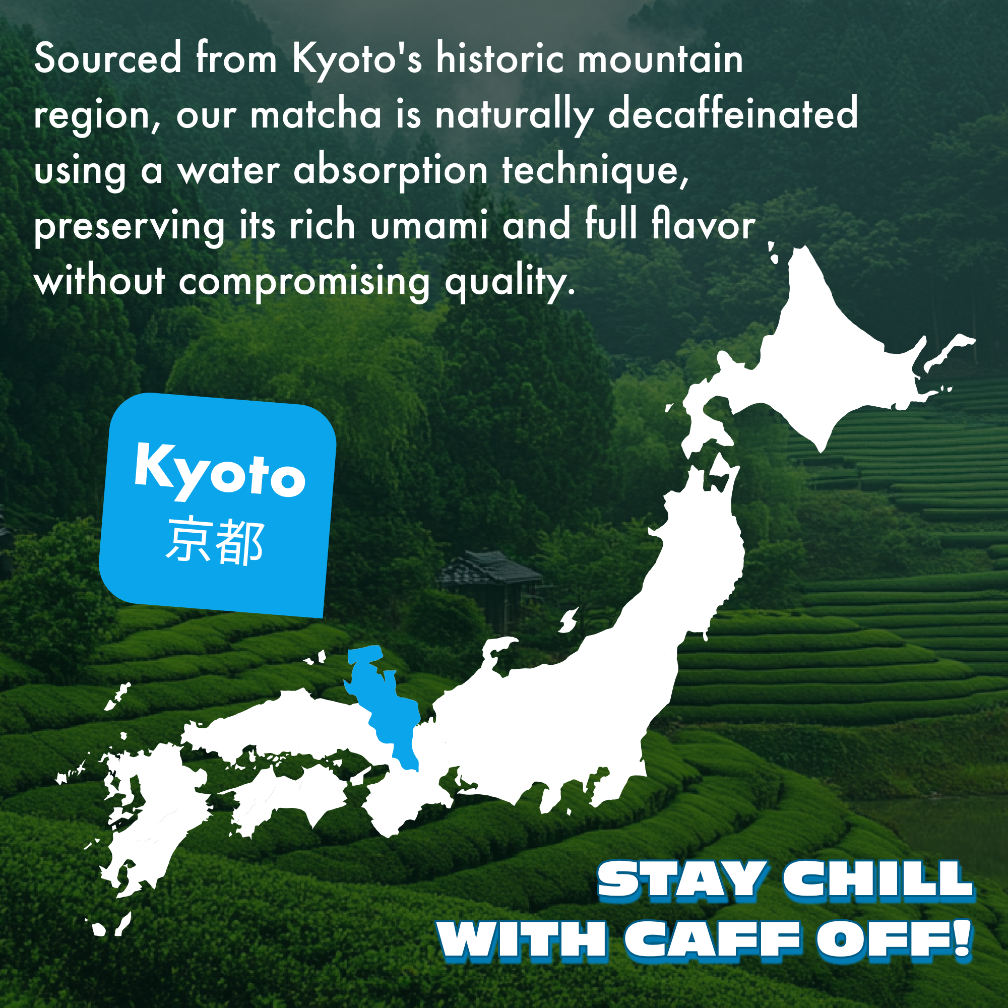 Caff Off - Wholesale Health/Detox Tea - Vanilla Bean Decaf Matcha Sticks3